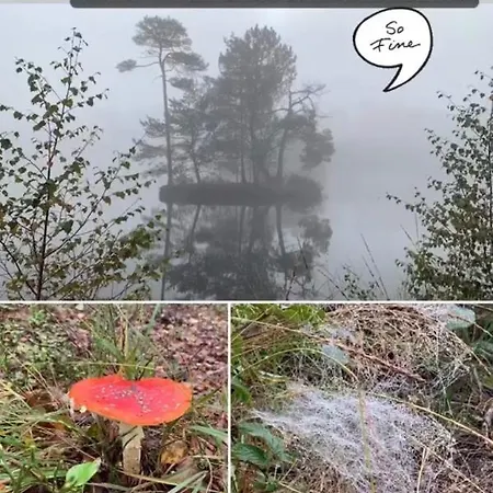 Bed&breakfast: 'bij Ons Achter'