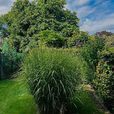 Bed And Breakfast: 'bij Ons Achter' Helvoirt