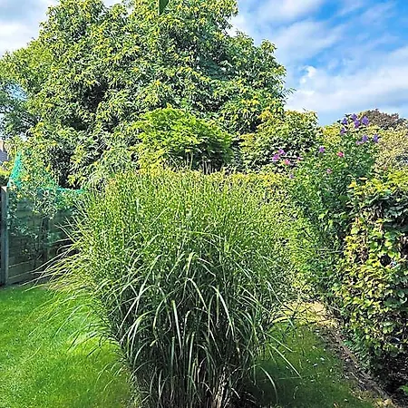 Bed And Breakfast: 'bij Ons Achter' Bed & Breakfast 3*