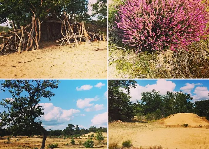 Bed And Breakfast: 'bij Ons Achter' 3*