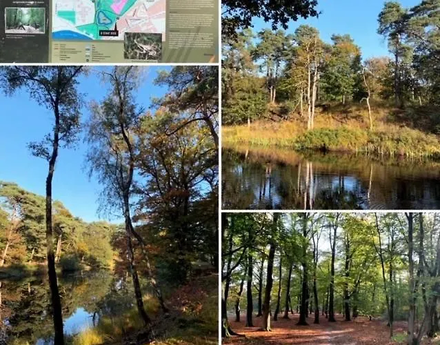 Couette-café Bed And Breakfast: 'bij Ons Achter'