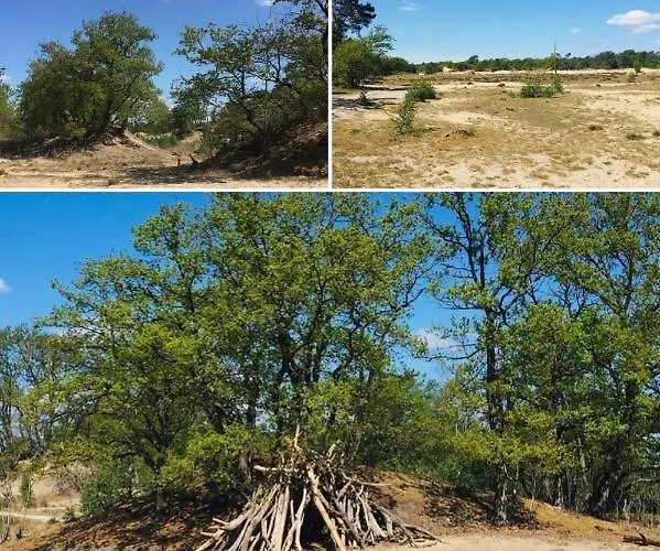 Bed And Breakfast: 'bij Ons Achter' 3* Helvoirt