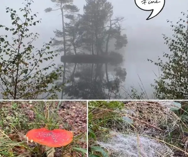 Bed And Breakfast: 'bij Ons Achter'