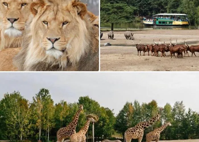 Couette-café Bed And Breakfast: 'bij Ons Achter'